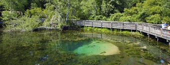 Magnolia Springs State Park