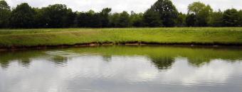 Dawson Fishing Pond