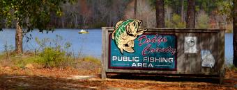 PUBLIC FISHING AREAS GEORGIA Department Of Natural Resources