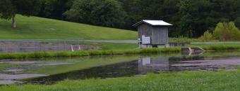 Summerville Hatchery Pond