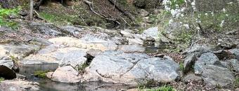 Upatoi Ravines creek