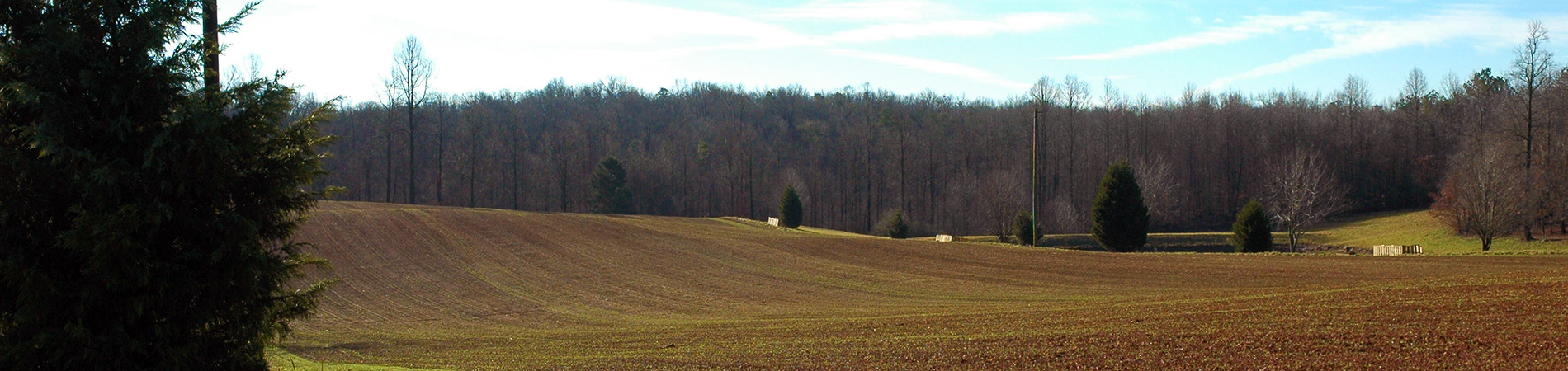 Dove Field