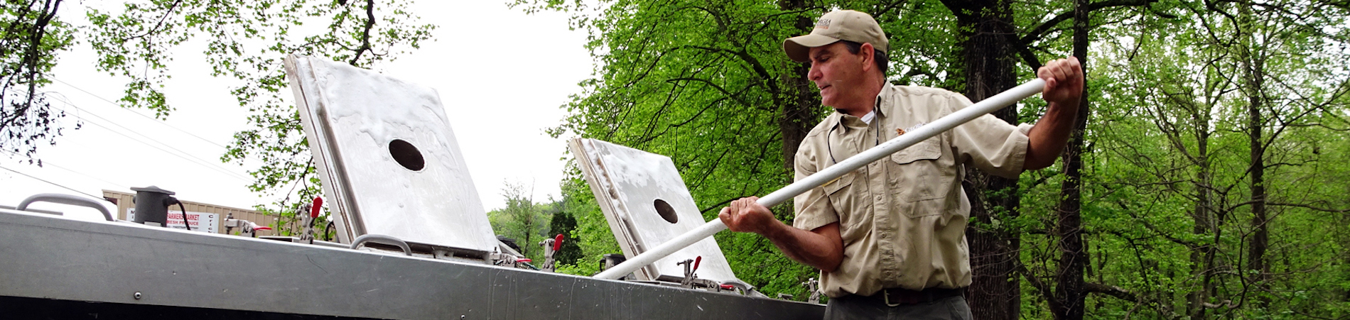 Stocking River Trout