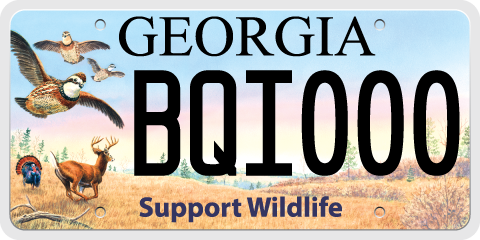 Bobwhite Quail Initiative License Plate