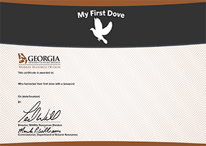 My First Dove Certificate
