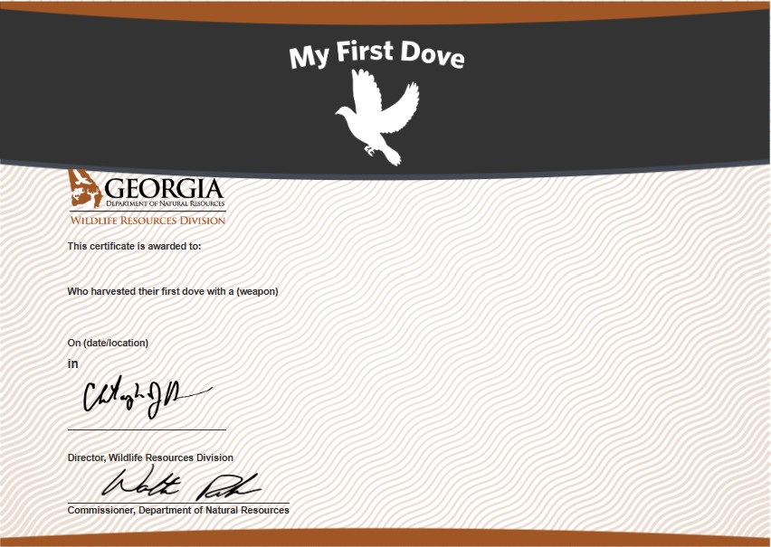 My First Dove Certificate