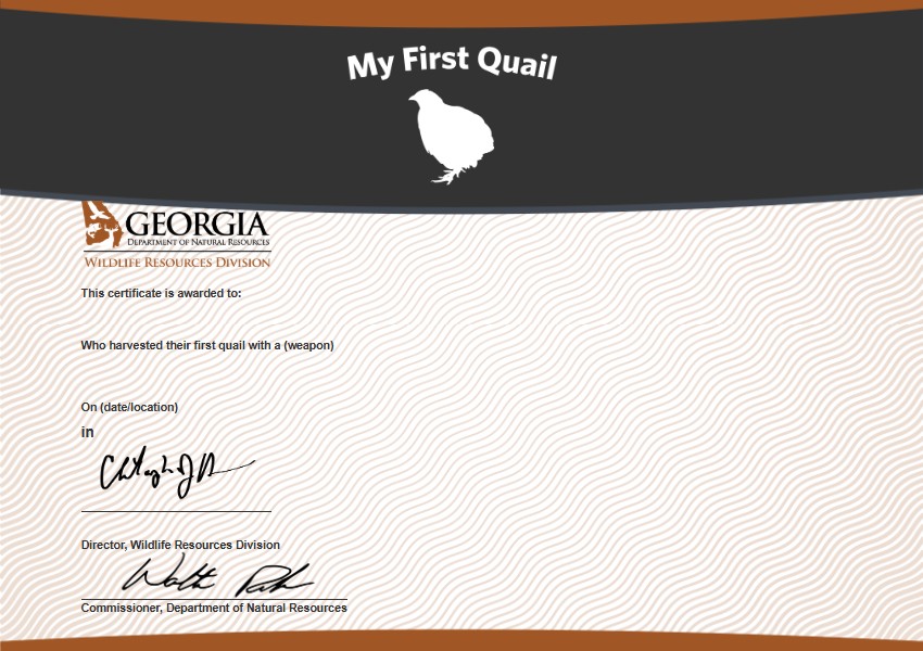 My First Quail Certificate