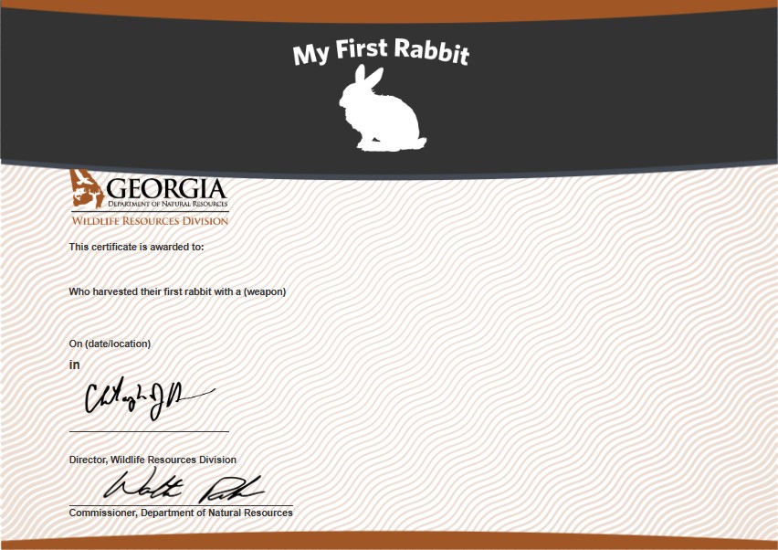 My First Rabbit Certificate