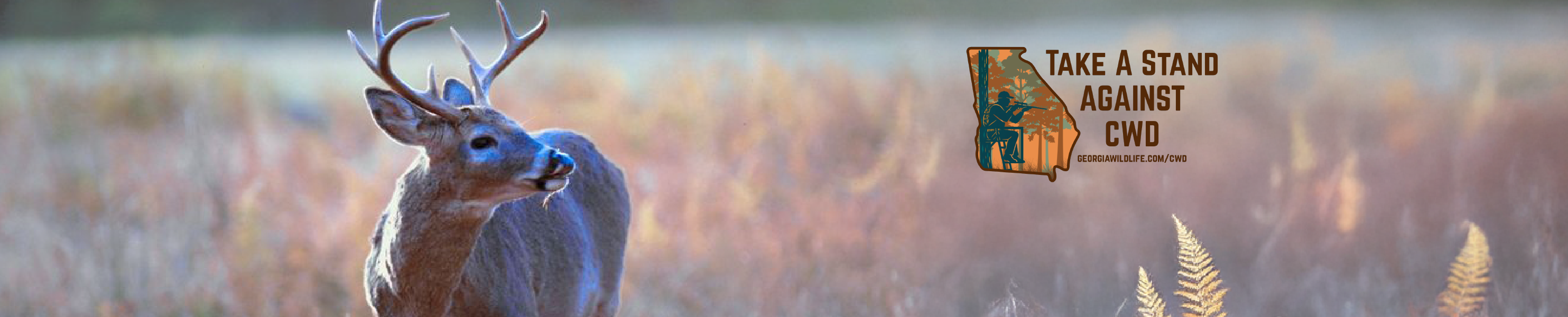 Deer in field with Chronic Wasting Disease logo