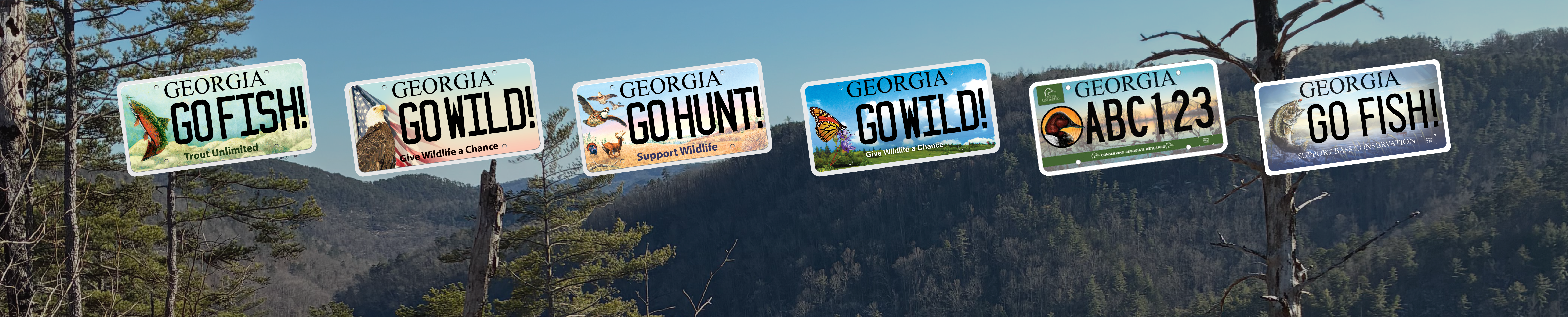 Six official Georgia Wildlife license plates with a nature scene in the background.