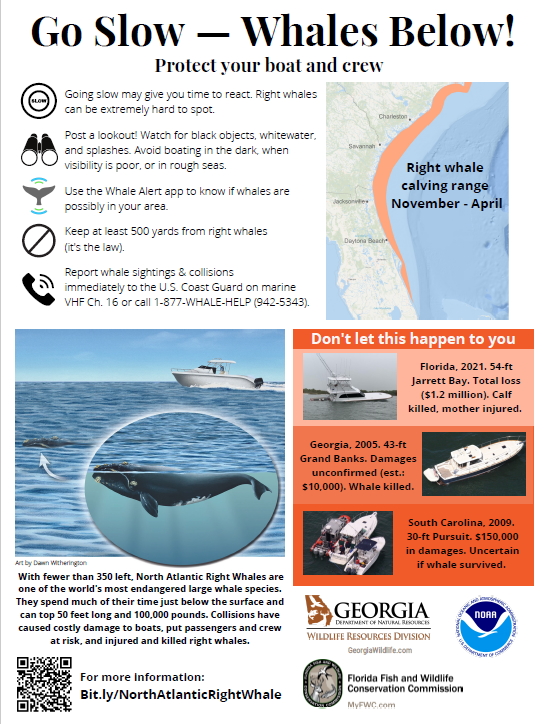 Flyer: Right whale precautions for recreational boaters