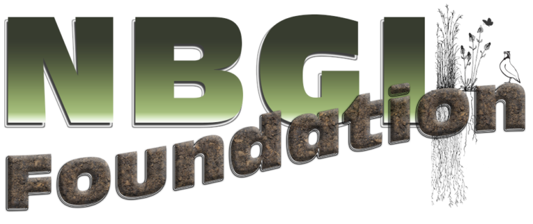 NBGI Foundation Logo