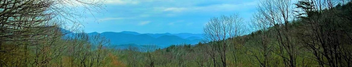 A blue horizon with mountains and trees in the foreground.