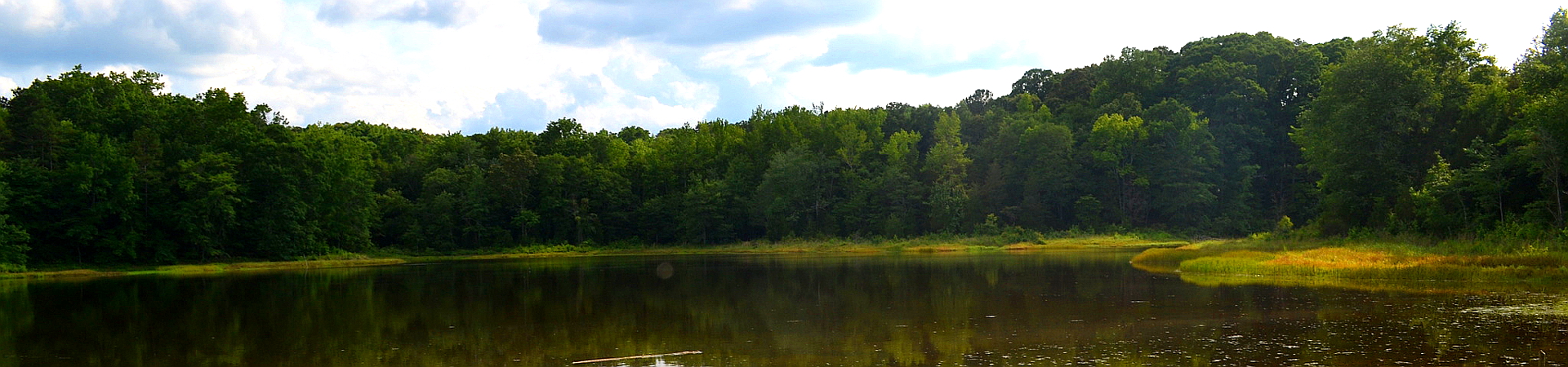 Elbert County WMA Pond