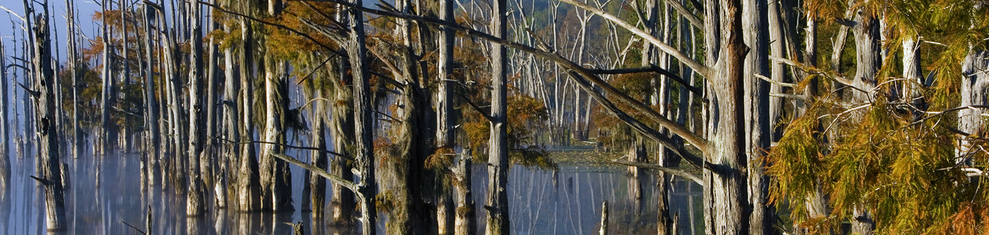 Silver Lake PFA Lake and Trees