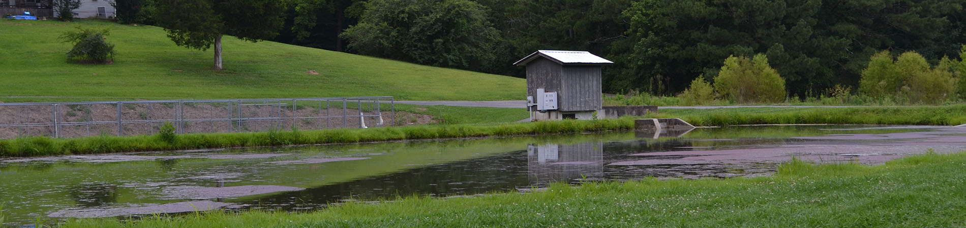 Summerville Hatchery Pond
