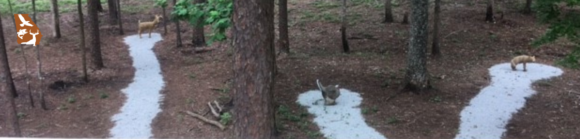 Three D Archery Range at Clarks Hill Wildlife Management Area