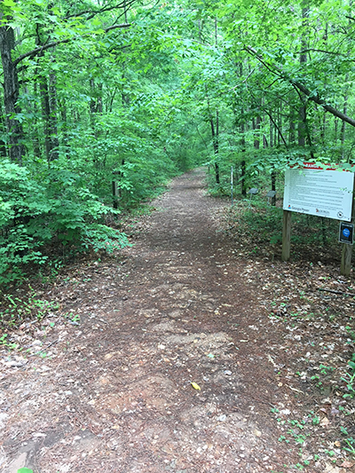 3-D Trail Entrance
