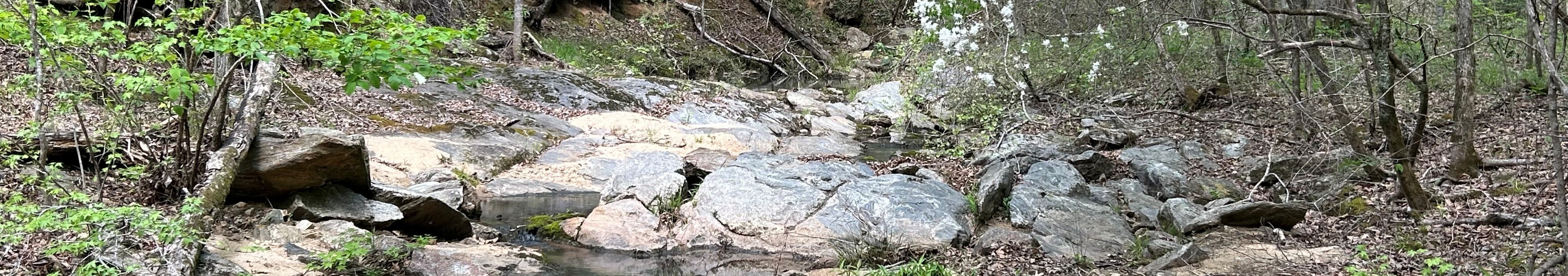 Upatoi Ravines creek