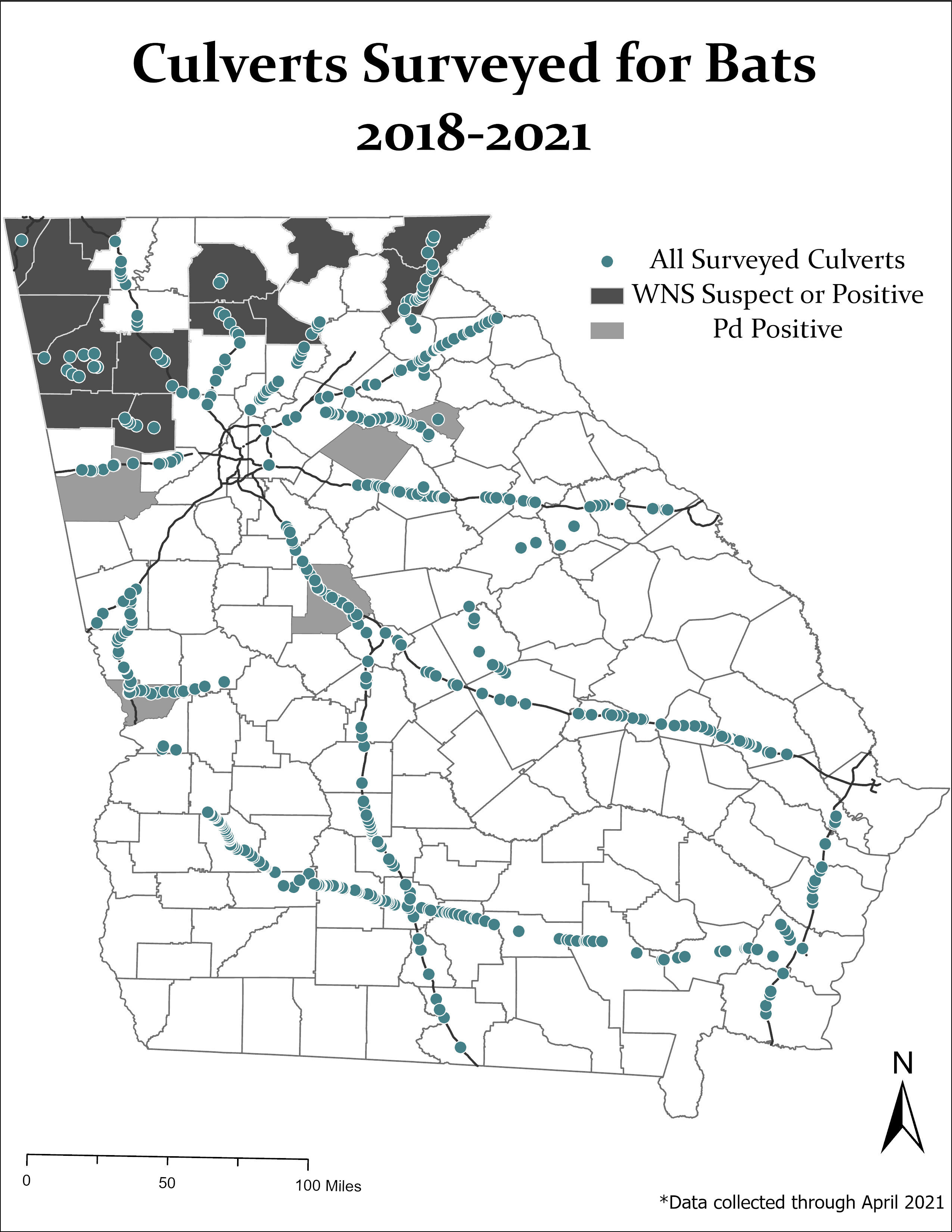 "white nose syndrome detection in bats in culverts survey in 2021 "