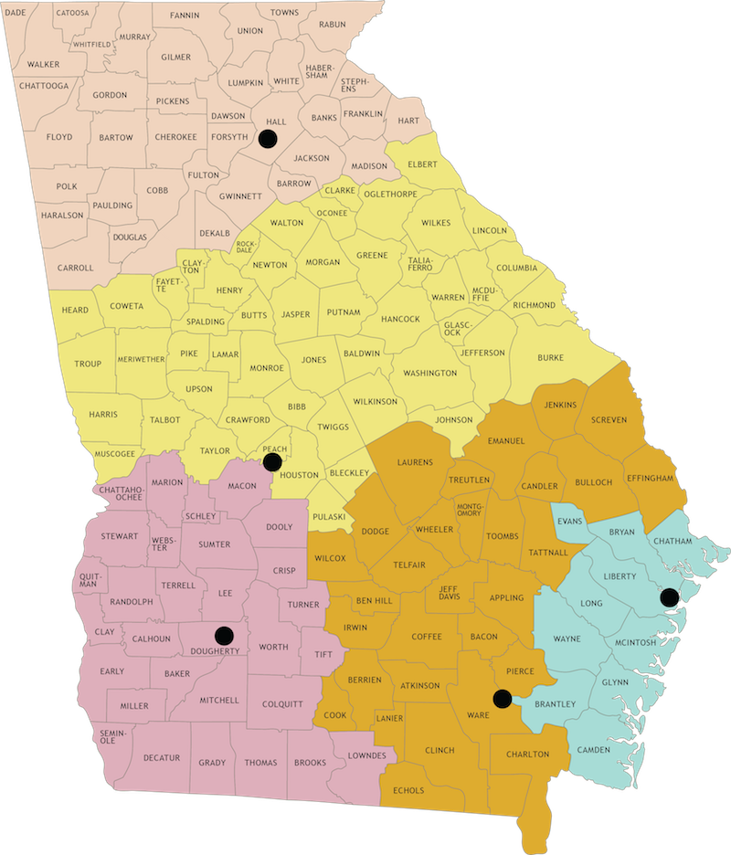 Map Of Georgia Counties 1800