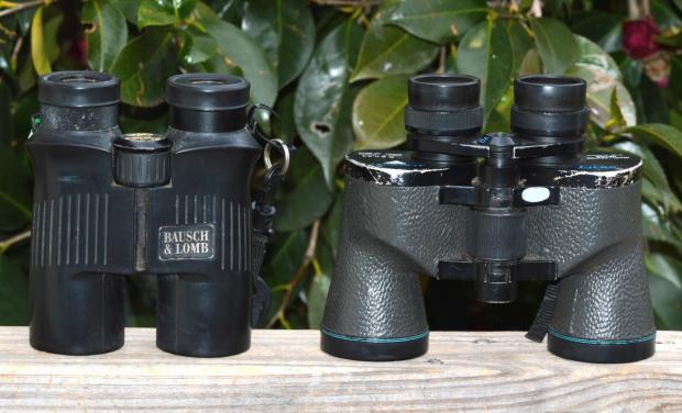 Binocular types (Terry W. Johnson)