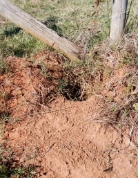 Out My Backdoor: Here's the Hole Story | Department Of Natural Resources  Division
