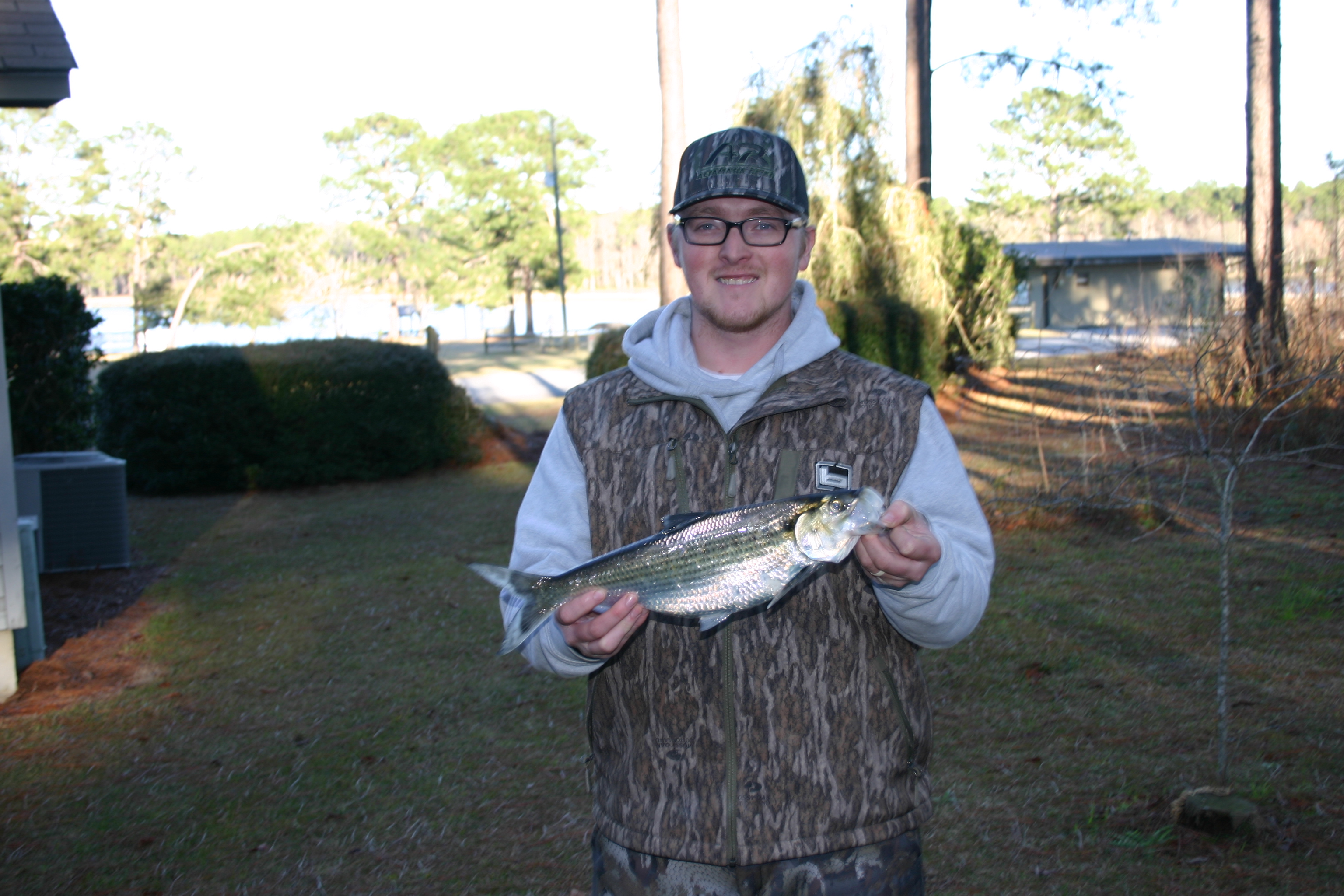 State Record Hickory Shad Caught by Christopher Jones on February 7, 2021 from the Ogeechee River