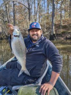 State Record Hickory Shad Caught February 2022 by Timmy Woods