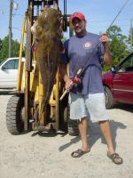 Carl Sawyer's GA State Record Flathead Catfish