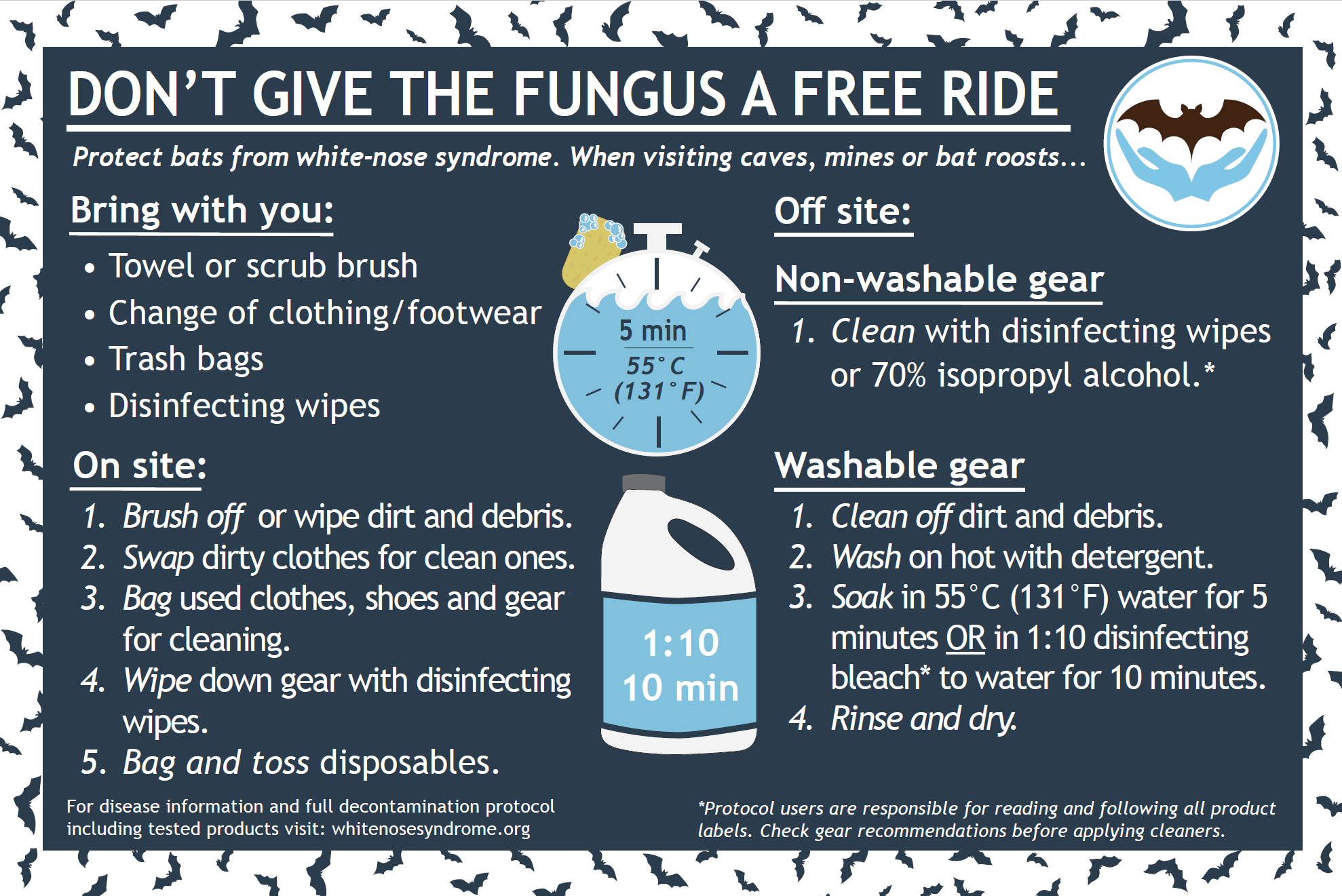 White-nose syndrome prevention infographic. Link opens accessible PDF version.