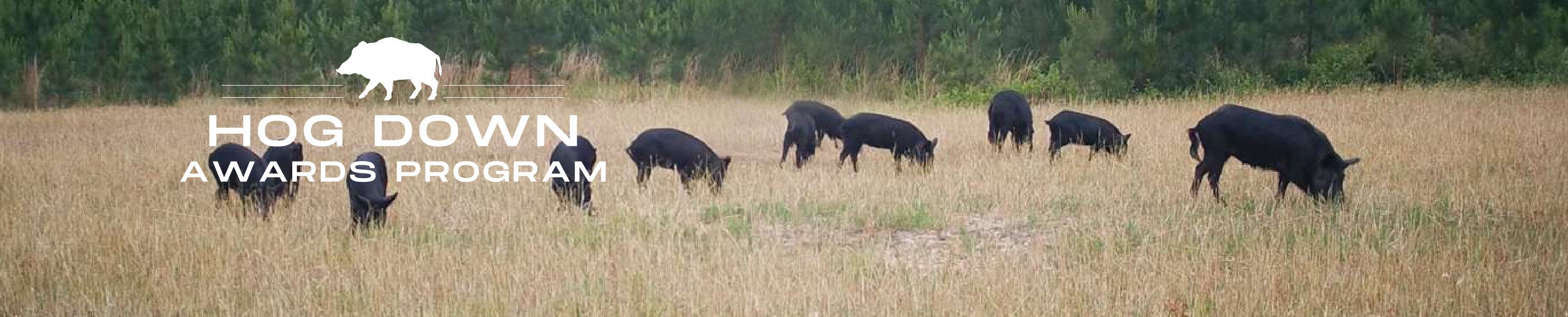 Hogs in a field below the Hog Down Award program logo